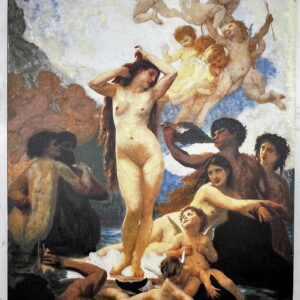 0149 Venus on a Shell