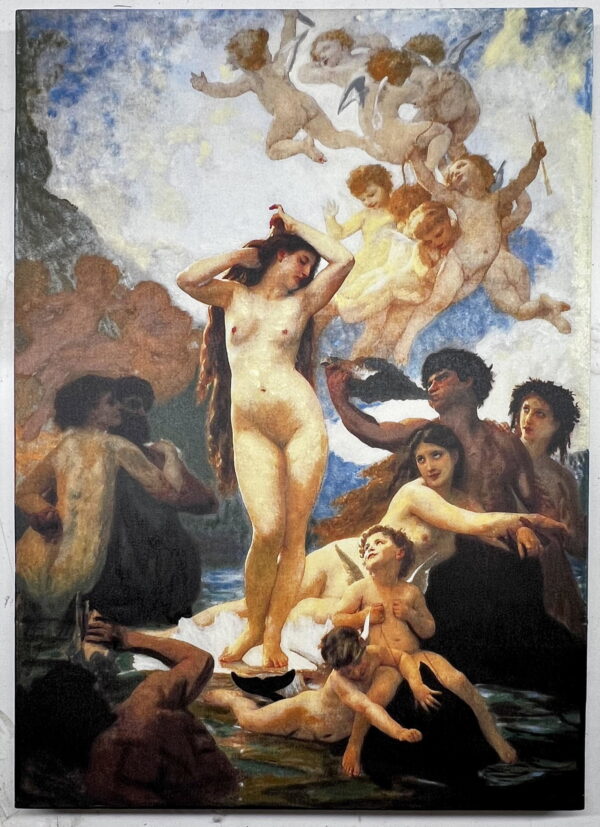 Venus on a Shell
