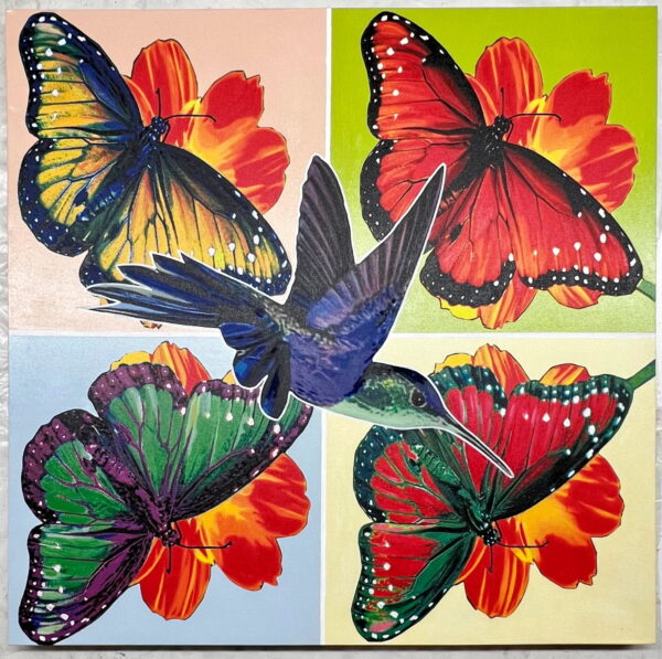 Hummingbirds and Butterflies
