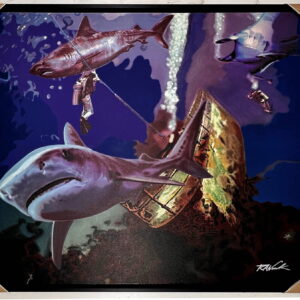0201_1 Deep Sea Diving