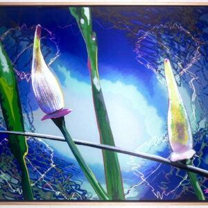 0209_1 Stormy Bloom