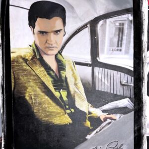 Elvis Presley Gazing