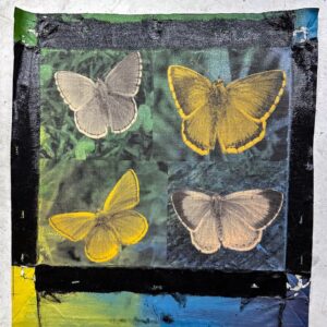 Butterfly 4 Panel