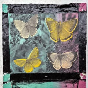 Butterfly 4 Panel