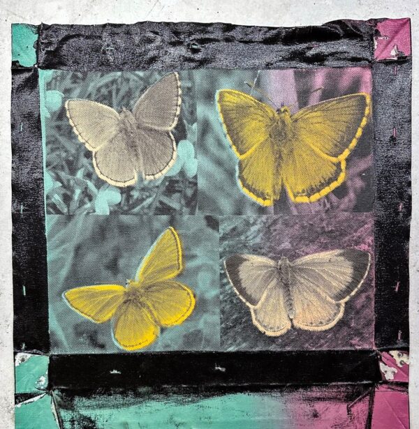 0296_1 Butterfly 4 Panel