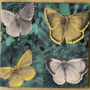 Butterflies, green