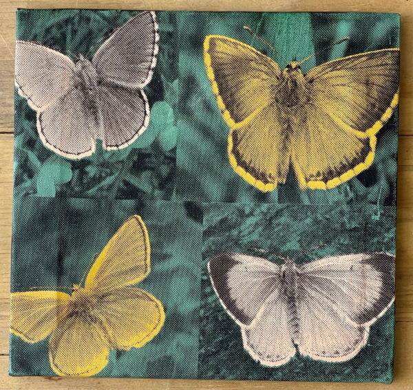 Butterflies, green