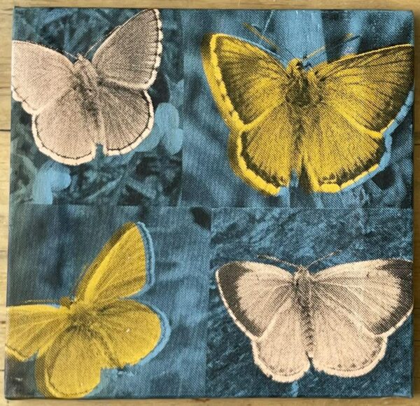 Butterflies, turquoise