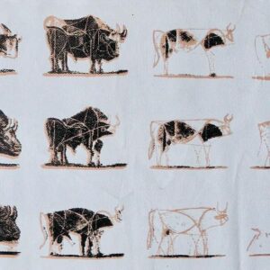 Eleven Bulls (Picasso)