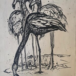 Flamingos