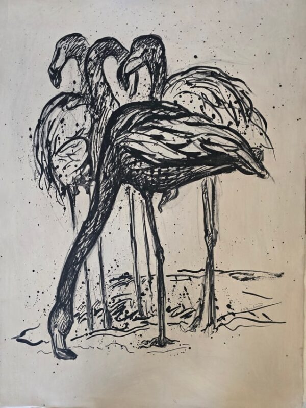 Flamingos