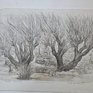 29_1 Orchard at U.T.S.A