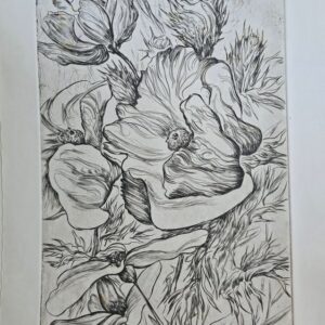31_1 Thistles