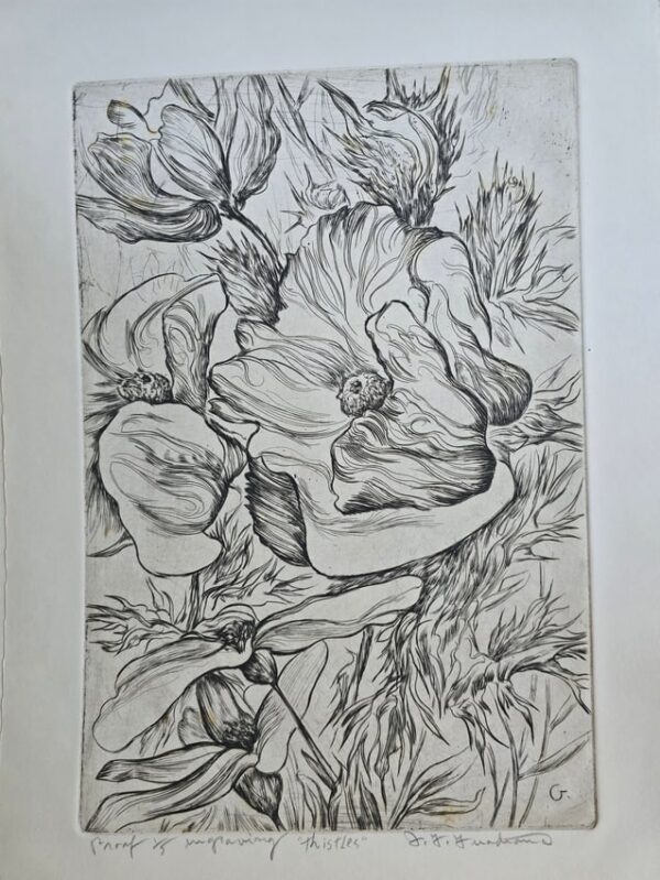 31_1 Thistles