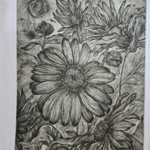 33_1 Wild Flowers