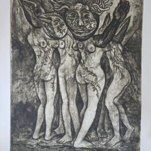34_1 Odd Behavior