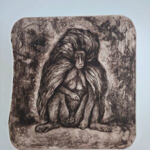 38_1 A Baboon