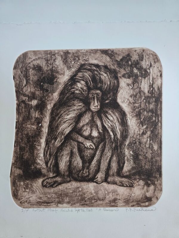 38_1 A Baboon