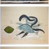 Picasso Complete Portfolio (Faunes et Flore d'Antibes)